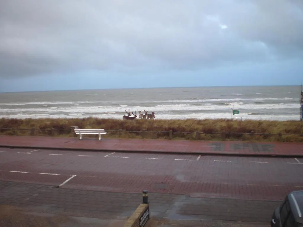 B&B Zeespiegel Zandvoort Netherlands
